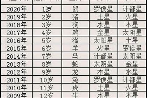 本命年怎麼算|本命年具体怎么计算呀